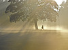 gwl indian summer morning